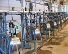 Программа наращивания производства будет учитывать мнение молочной отрасли