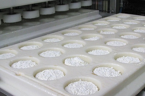 «ЭкоНива» построит молочный завод за 36 млрд рублей