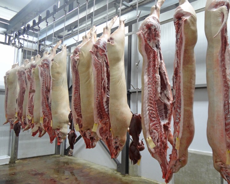 Оптовые цены на свинину будут самыми низкими за пять лет