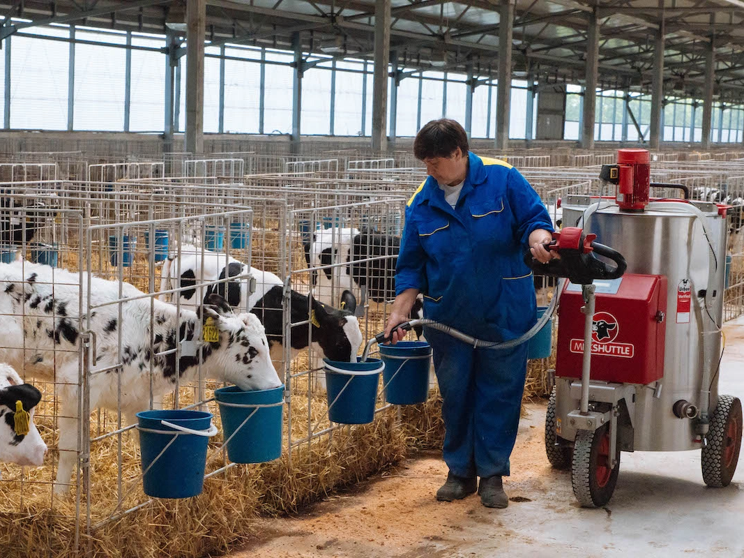 СХП «Мокрое» приступило к программе генотипирования