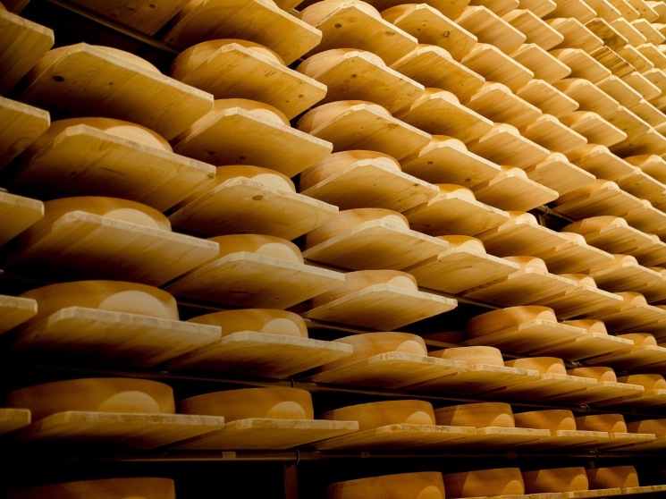 Сырные перспективы. Производство сыров может перевалить за 1 млн т к 2030 году
