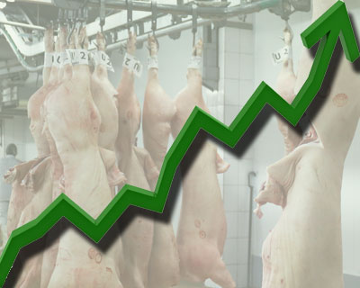 Рост Ставропольского АПК составил 8%