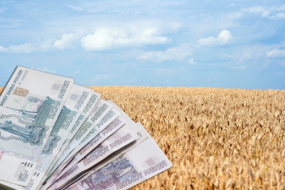 «Черкизово» увеличила продажи во всех сегментах