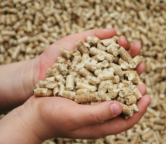 Russian Feed Industry — 2017