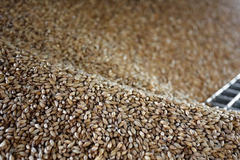 Экспорт зерна в августе может составить 5 млн тонн