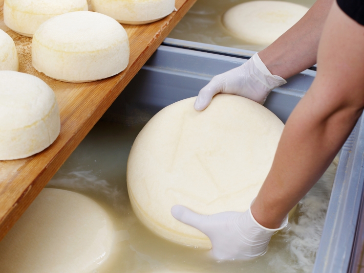 Кисломолочная зависимость. Почему российские йогурты, творог и сыр делаются на импортных заквасках