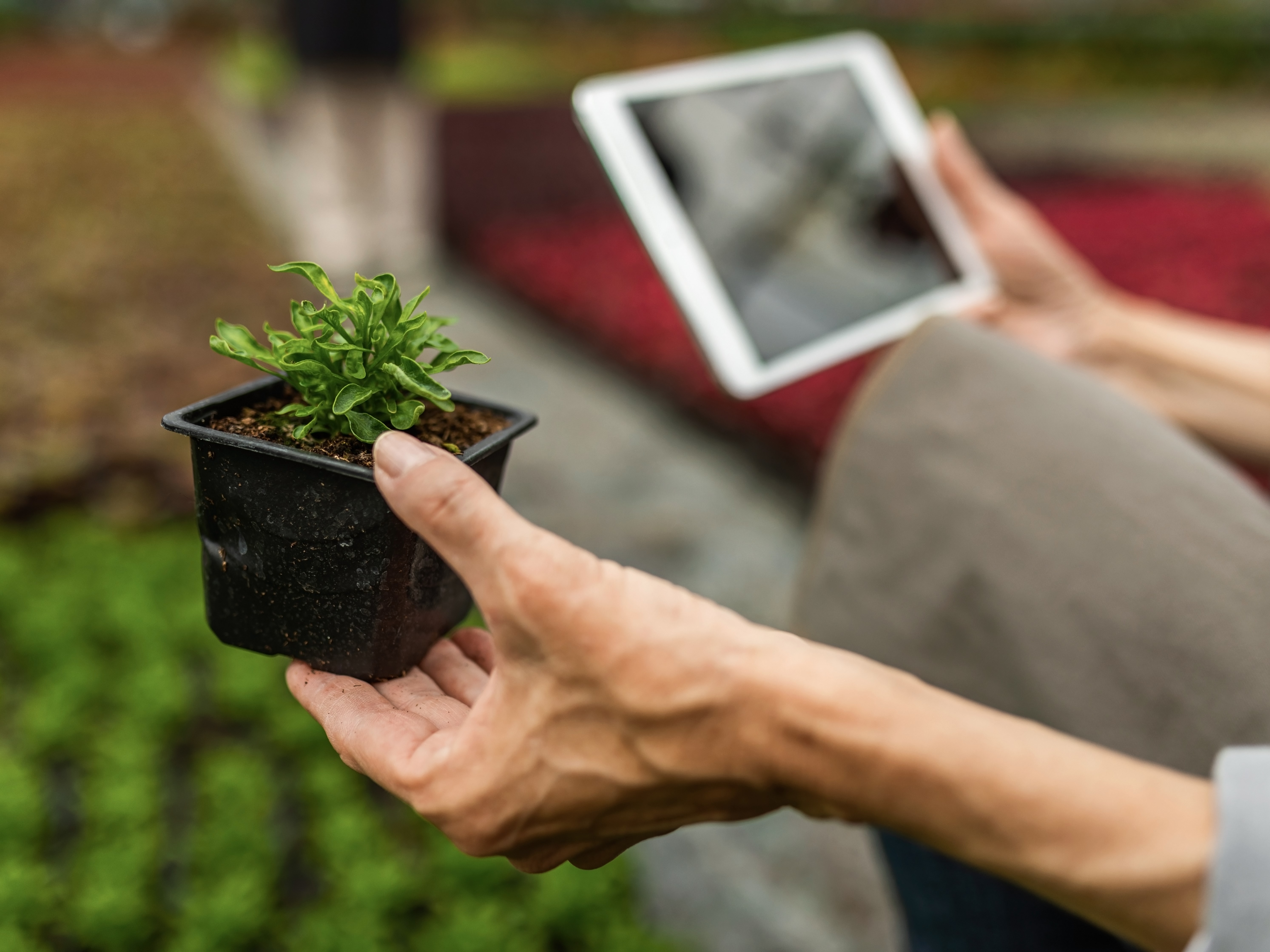 Цифровизация АПК оценивается в 30%