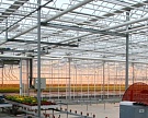«Белая Дача» вложит 6-8 млн евро в тепличный комплекс