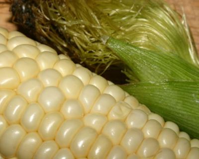 Рынок кукурузы за неделю снизился на 3,75 цента