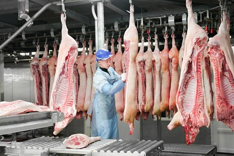 Поставки российской свинины в Китай могут начаться в январе