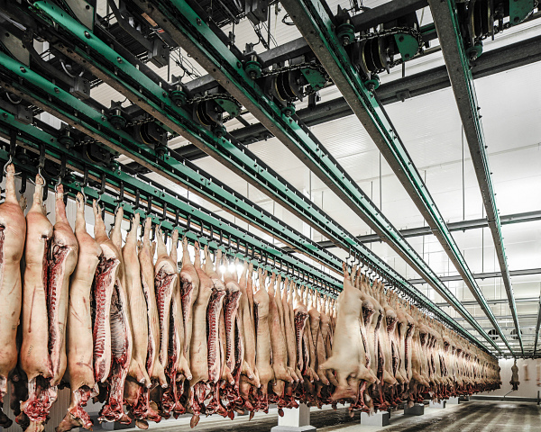 Главные мясники страны: первый ежегодный рейтинг российских производителей мяса