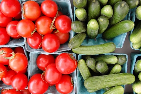 Овощи с огородов могут появиться в торговых сетях