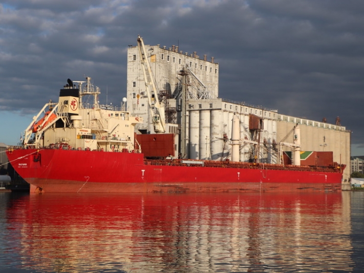 Экспорт пшеницы за первую декаду декабря снизился почти на 22%