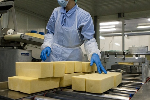 «Агросила» в ноябре запустит производство полутвердых сыров