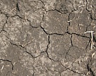 Ущерб от засухи — 33 млрд руб.