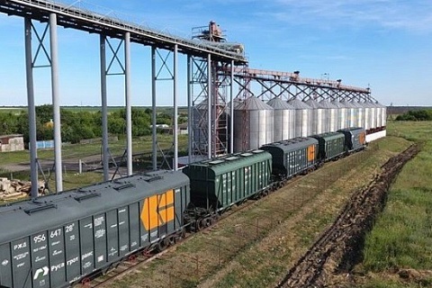 Экспорт пшеницы в этом сезоне может стать рекордным