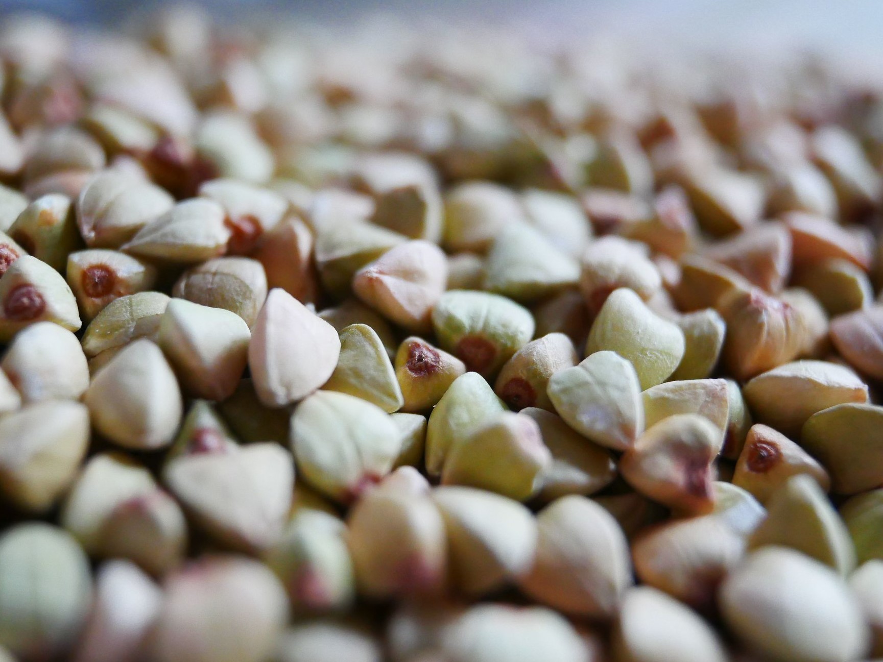 Производство гречихи будет существенно ниже, чем годом ранее