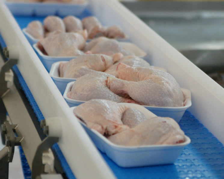 Минсельхоз ожидает роста производства мяса птицы и яиц по итогам года