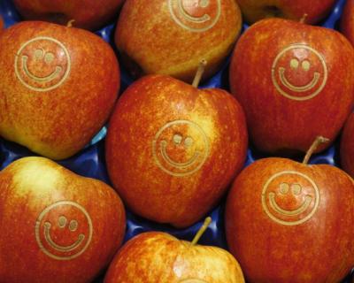 Польша: выросли закупки яблок Глостер и Чемпион