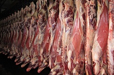 Экспорт мяса вырос на треть