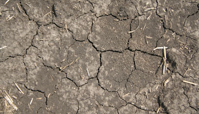 Ущерб от засухи — 33 млрд руб.