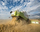 В 2016 году Россия может собрать 95-104 млн тонн зерна