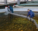 «Русская аквакультура» купила завод в Норвегии