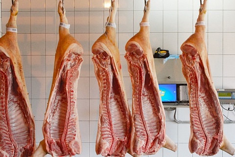 За месяц цены на свинину в регионах ЦФО выросли почти на 14%