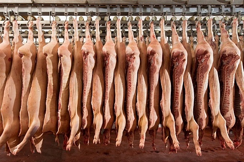 Минсельхоз: открытие рынка Китая может способствовать увеличению производства свинины