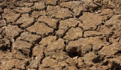 РЗС опасается новой засухи в этом году