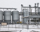 В Калининградской области запущен завод по глубокой переработке сои