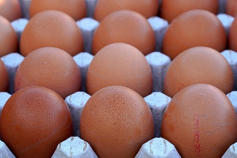 ФАС начала проверку производителей курицы и яиц