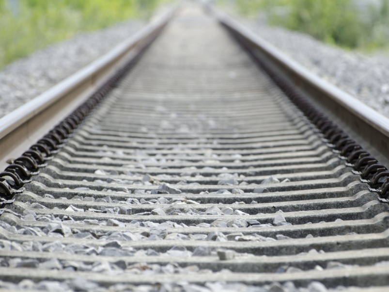 Защиту железных дорог от сорной растительности усилили новыми препаратами «Августа»
