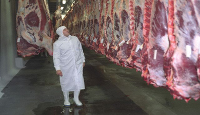ГК «Тавр» планирует инвестировать в строительство мясохладобойни