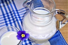 Производители молока могут потерять 84 млрд рублей
