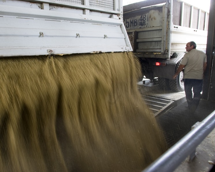 Партнерский материал. В сезоне-2019/20 Trucker намерен перевезти более 1 млн тонн зерна