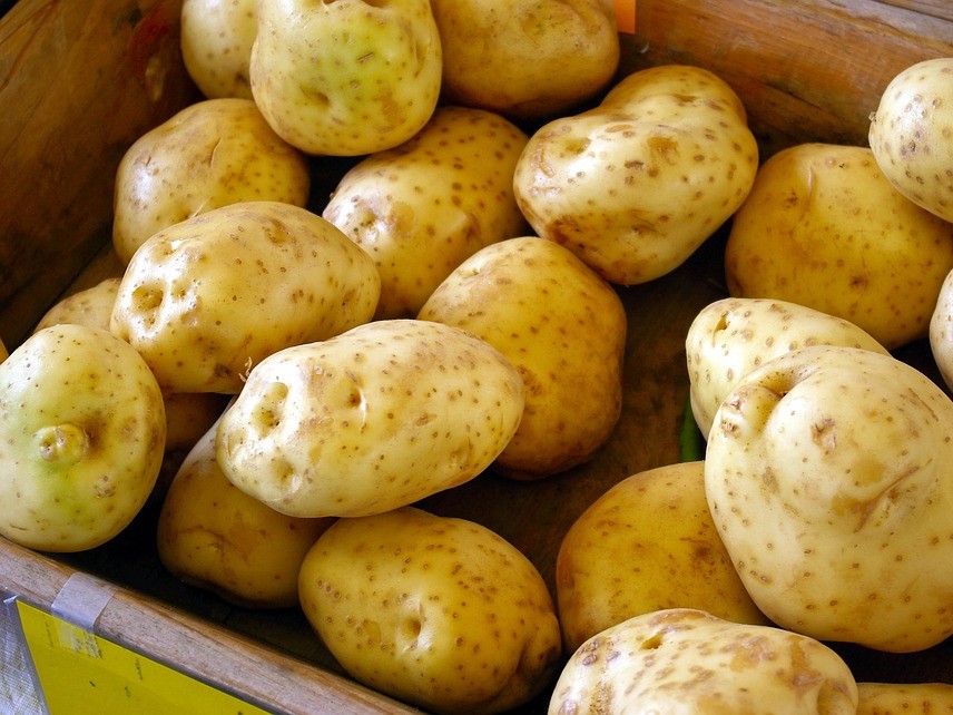Урожай картофеля в этом году будет рекордным
