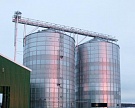 Запасы зерна в России на 1 марта составили 22,8 млн т