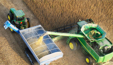 МСЗ повысил прогноз мирового производства зерна на 11 млн т
