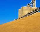 Минэкономразвития не видит смысла в продлении зернового эмбарго