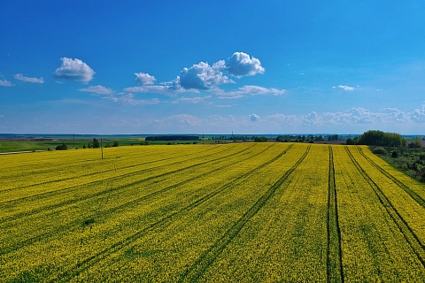 «Черкизово» купила сельхозземли в Тульской области