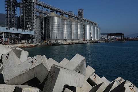 Экспортные цены на российскую пшеницу остаются высокими