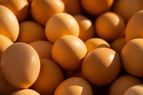 Оптовая стоимость яиц выросла более чем на 80%