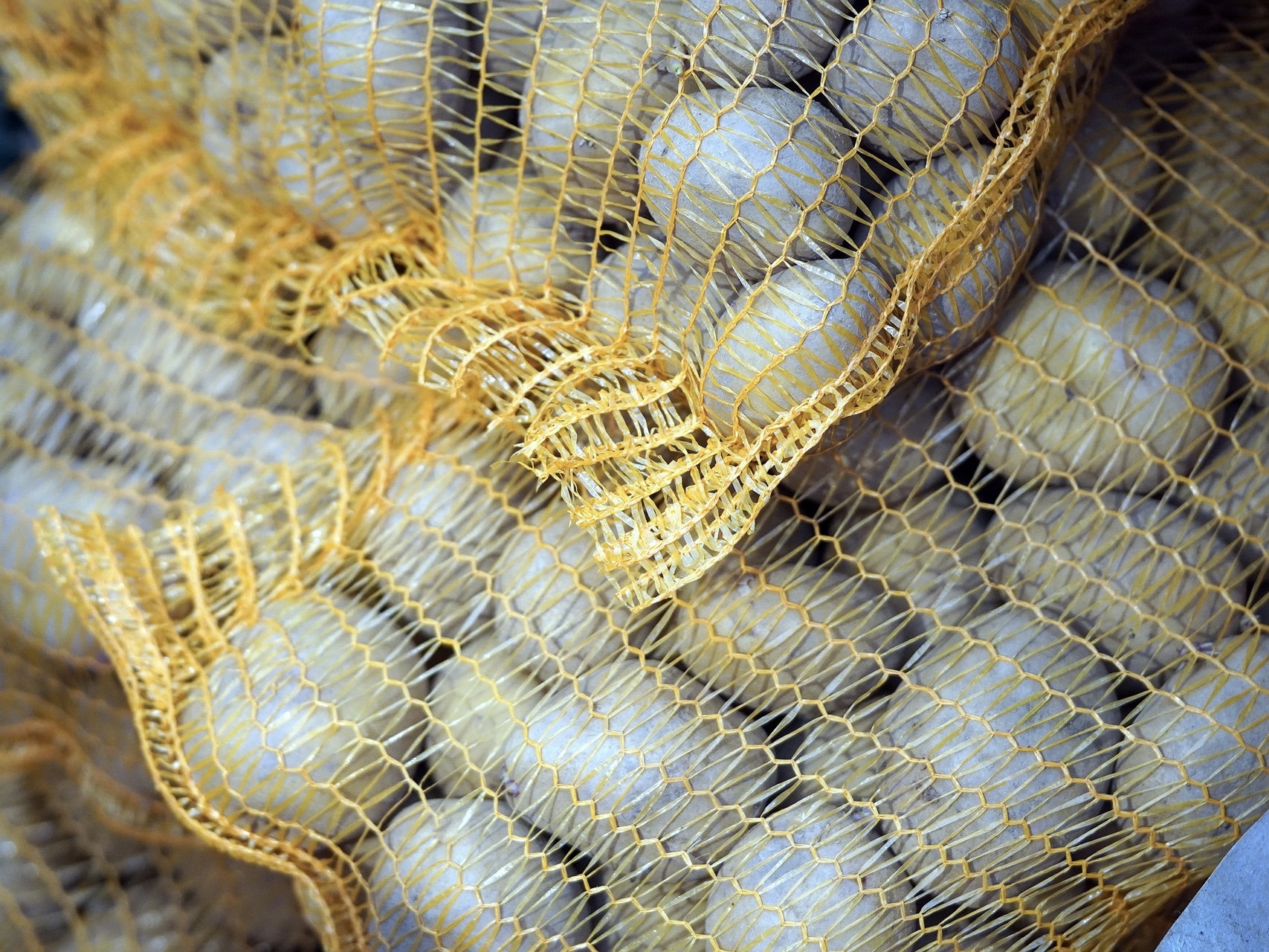 В следующем году спрос на картофель может вырасти