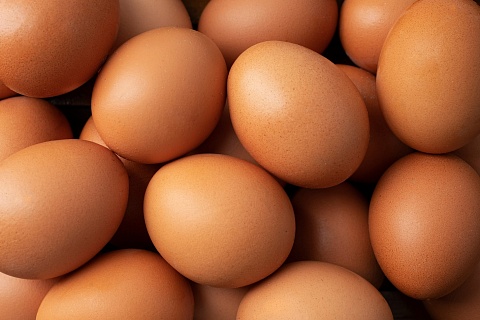Россельхознадзор разрешил поставки яиц из Турции