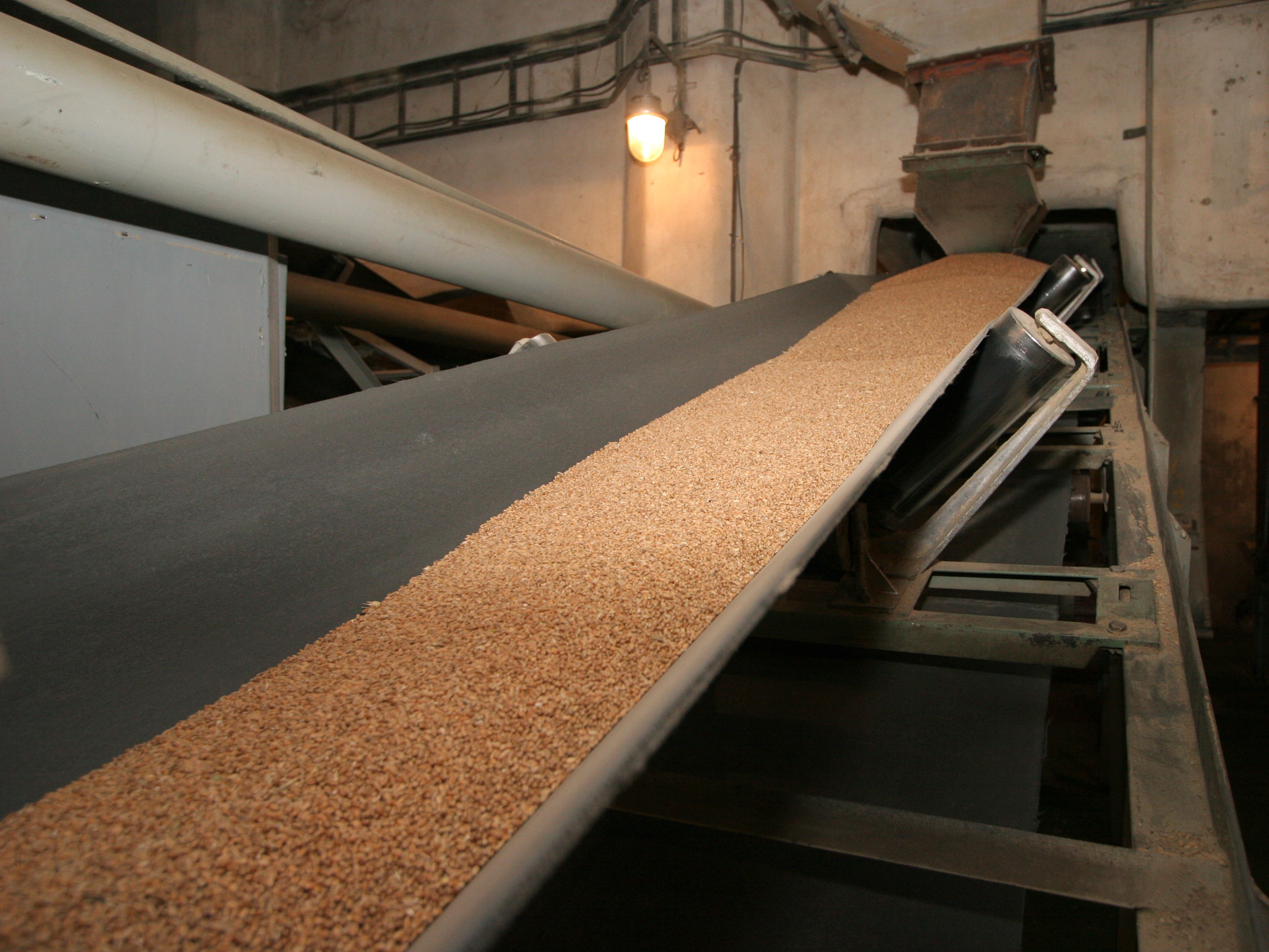 «Татнефть» может построить завод по глубокой переработке зерна в Воронеже