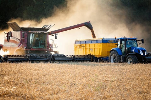 Постоянную экспортную пошлину на зерно могут ввести уже с 1 апреля