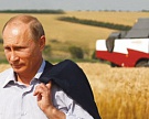 Экспорт зерна из России сократился более чем в два раза