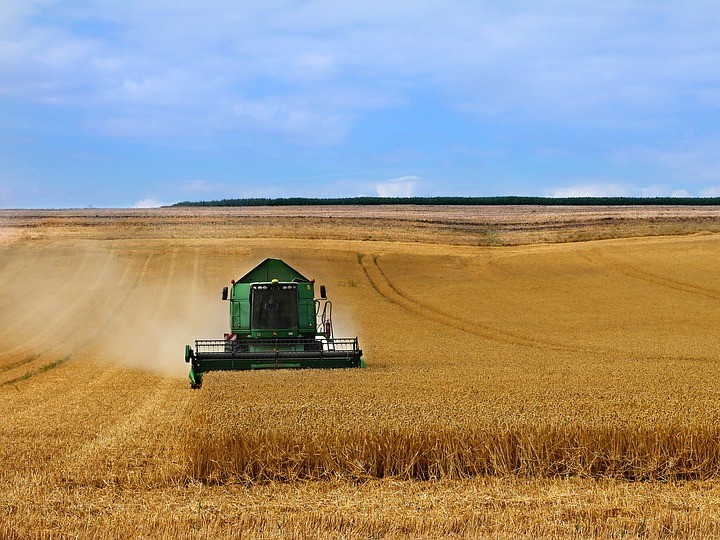 «СовЭкон» повысил прогноз урожая пшеницы