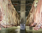Экспорт мяса птицы и свинины может начаться после 2017 г.